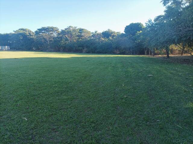 #6 - Chácara para Venda em Primeiro de Maio - PR