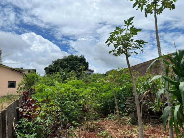 Terreno para Venda em Arapongas - 4